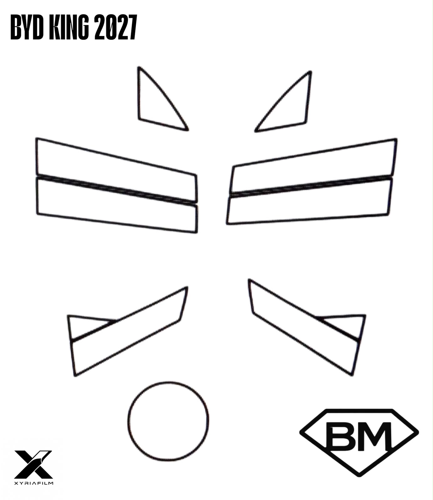 Postes exteriores B y C PPF para BYD King 2027